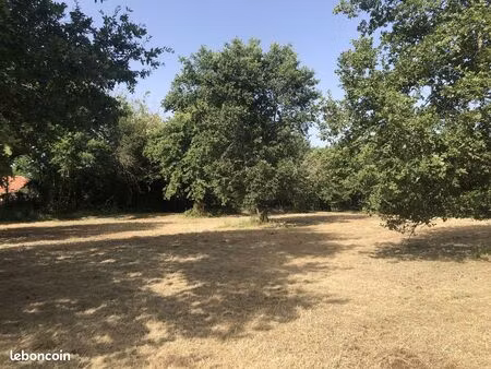 terrain 8000 m² cazaubon