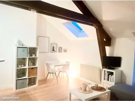 t2 meublé  lumineux et cocooning