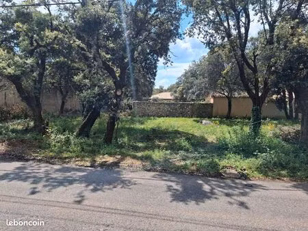 uzes/saint-siffret(30700) quartier résidentiel particulier vend terrain arboré constructib