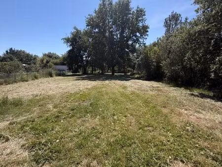 terrain 1 000 m² muret