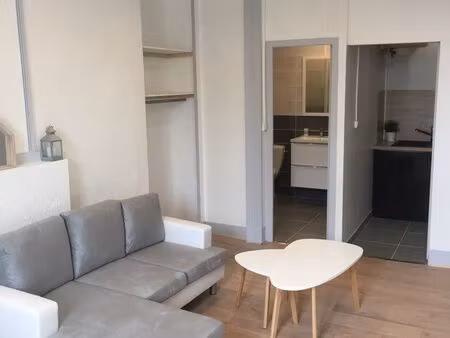 appartement 1 pièce 30m2 centre auch iut