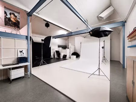 local professionnel de 200 m2 idéalement situé à roanne