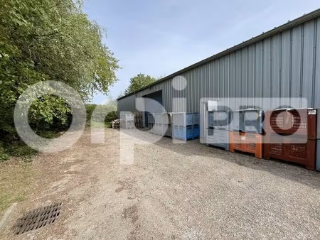 vente local d’activités mormant 77720 800m²