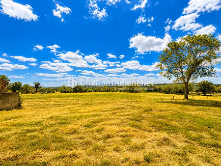 terrain de 4576 m² avec deux bâtiments en ruine à montaiguet en forez