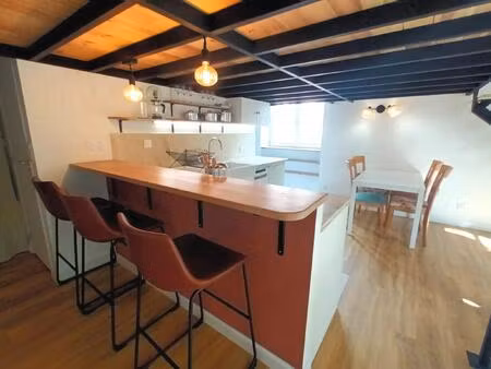 magnifique t1 duplex meublé croix rousse