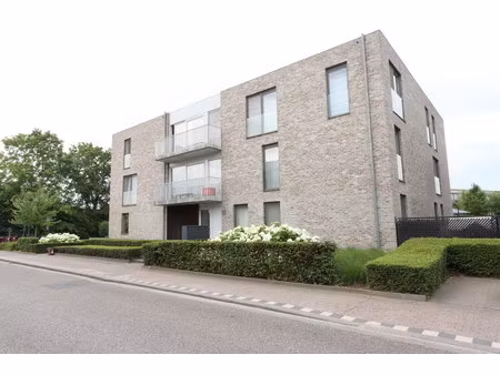 appartement te huur in schoten met 1 slaapkamer
