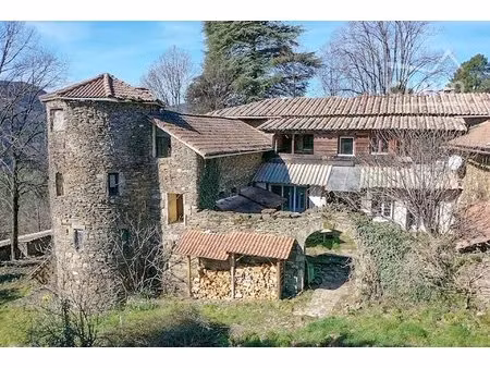 château cévenol dans la vallée de la drobie sur 8 hec