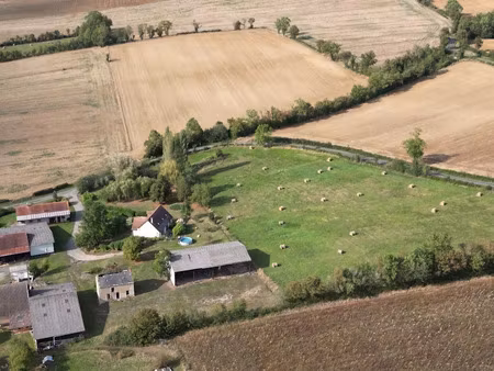 vente maison 7 pièces 170 m² à neuvy-saint-sépulchre (36230)  218 000 €