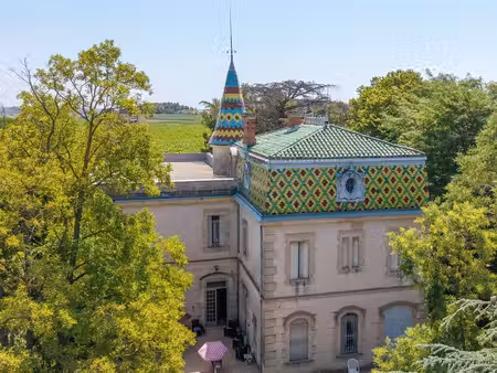domaine agricole (gfa) 56 hectares avec château viticole d'exc