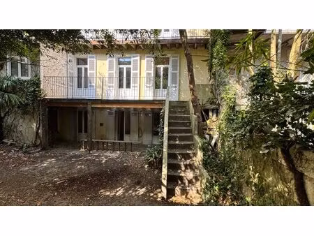 a vendre  centre ville de perigueux (24000)  bel immeuble avec jardin