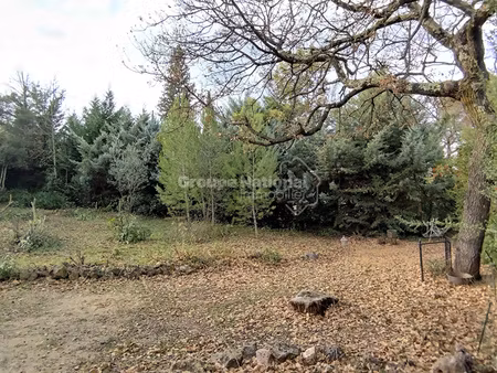 terrain constructible de 467 m²