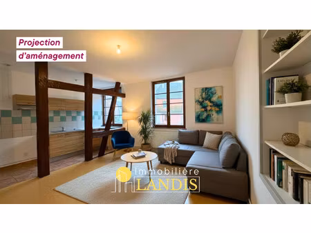 location appartement 3 pièces 64m² selestat 67600