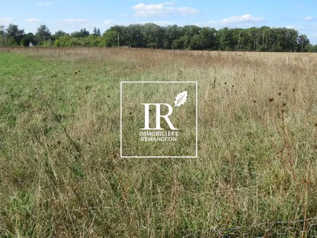 terrain constructible