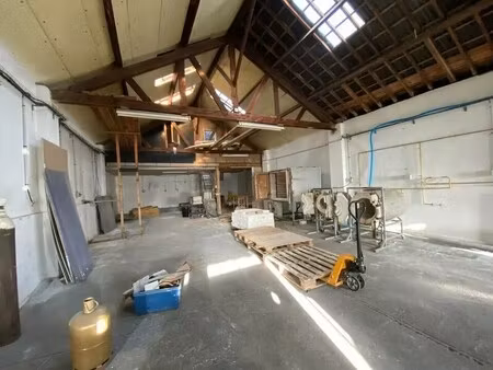 location local d’activités nantes 44000 525m²