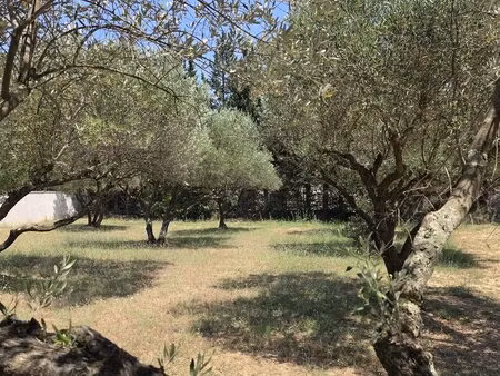 terrain constructible