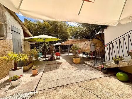 ensemble immobilier unique  maison familiale et espace professionnel