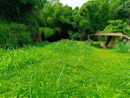 achat terrain 1 570m² gros morne 97213