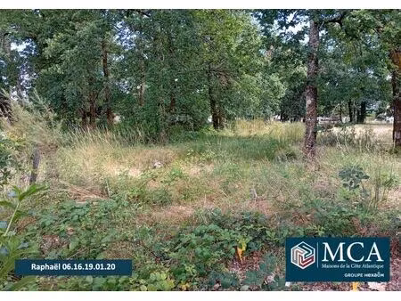 vente terrain 400 m² biganos (33380)