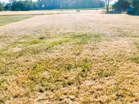 terrain