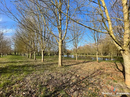 achat terrain 9 220m²
