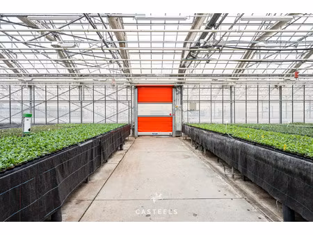 commercieel te koop in beervelde