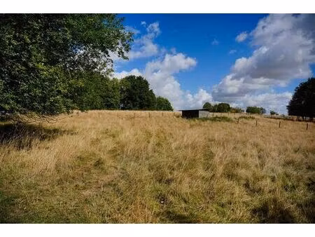 terrain à vendre à rue du rivage beauvechain (vbe42214)
