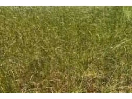 vente terrain à plougoulm (29250) : à vendre / plougoulm