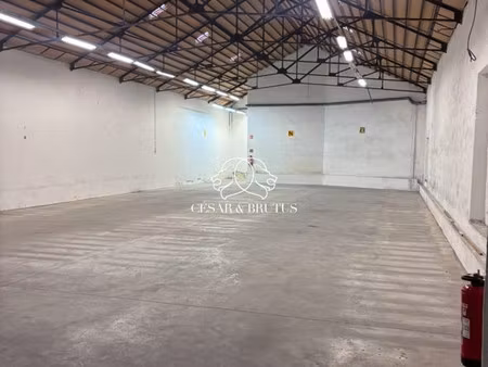 immobilier professionnel à vendre lyon