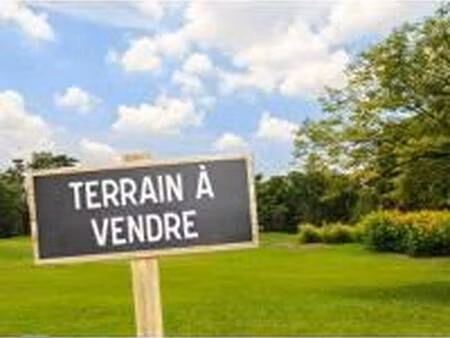 terrain