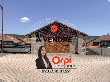 vente commerce 97 m² jœuf (54240)