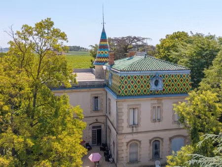 propriété viticole à vendre à puisserguier