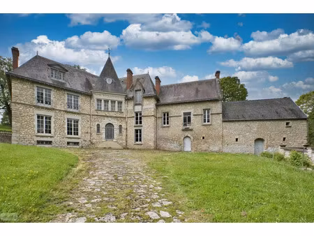 vente maison 10 pièces 530 m² à passy-grigny (51700)  1 272 000 €