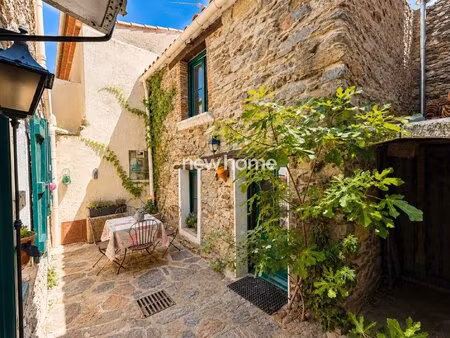 authentique maison de village avec maison d'amis  patio et terrasse au cœur de la garde-fr