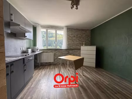 vente appartement 1 pièce 17 m² à la bresse (88250)  60 000 €