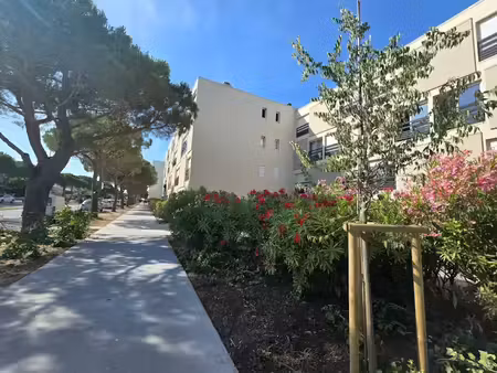 vente appartement 3 pièces 33 m² à saint-cyprien (66750)  109 000 €