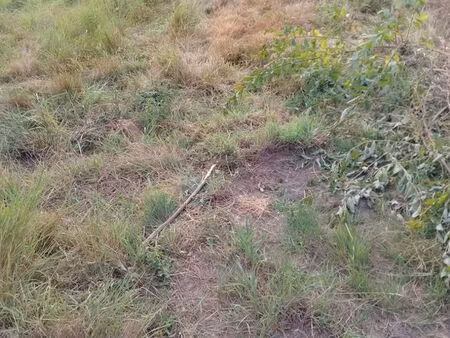 terrain constructible