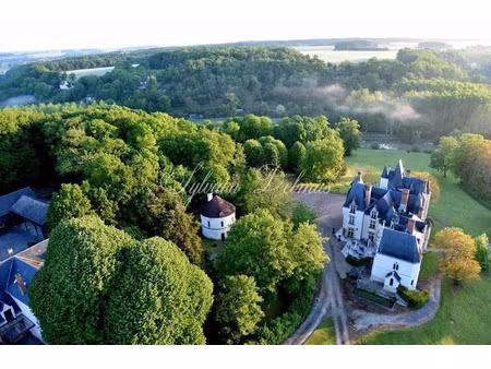 château à vendre à noyant-de-touraine