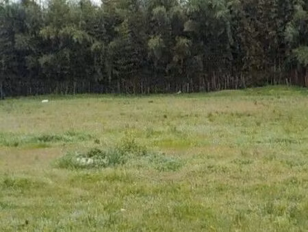 terrain 505 m² artigues pres bordeaux