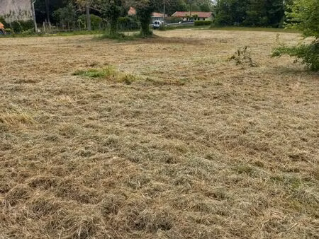 terrain constructible