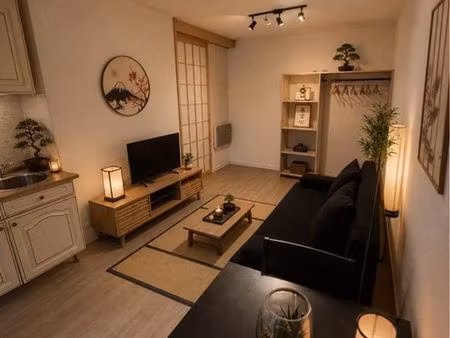studio 17m2 hôpitaux faculté