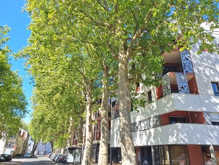 t2 résidence le jardin des arts - quartier lamartine