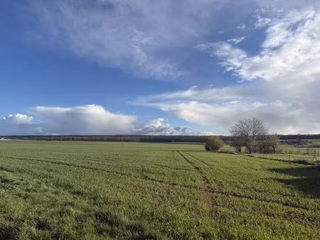 terrain constructible