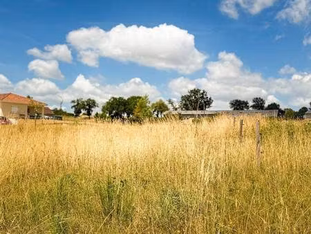 terrain constructible viabilisé à vendre