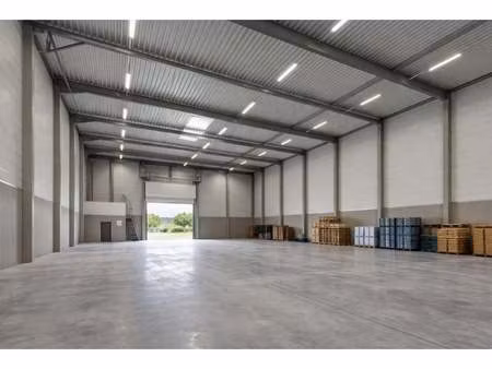 bien professionnel à louer à hasselt € 1.595 (lpuff) - govimmo | zimmo