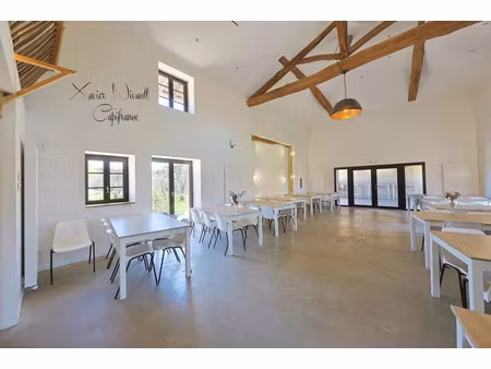 vente maison 11 pièces 355 m² louhans (71500)