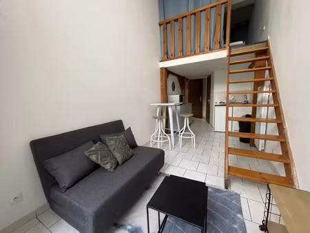 location appartement 1 pièce 25 m² à lyon 7 (69007)