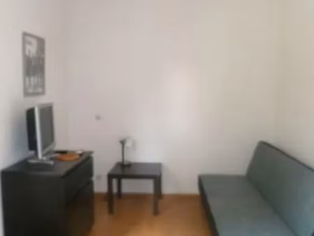 location appartement 1 pièce 20 m² à lille (59000)
