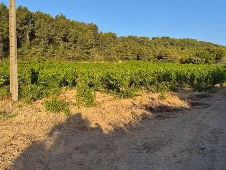 terrain constructible agricole et terre 8 ha