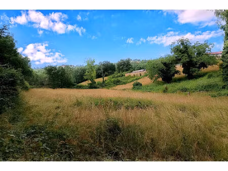 terrain constructible de 4217 m² à mirandol bourgnounac