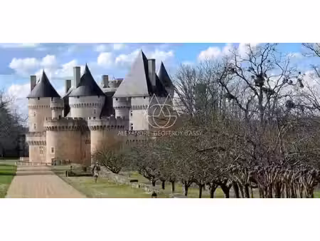 château saint-gaultier (36)